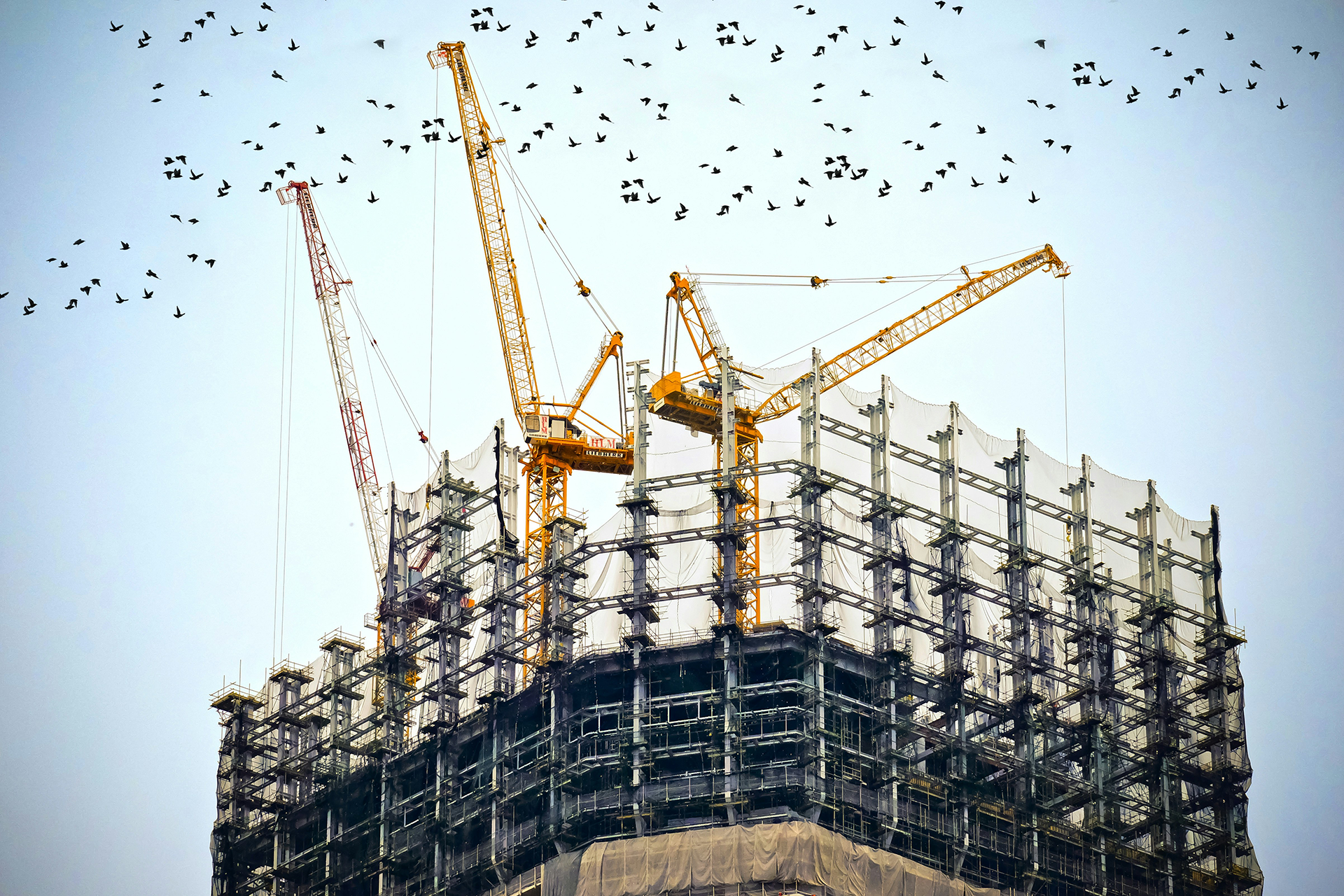 building management 